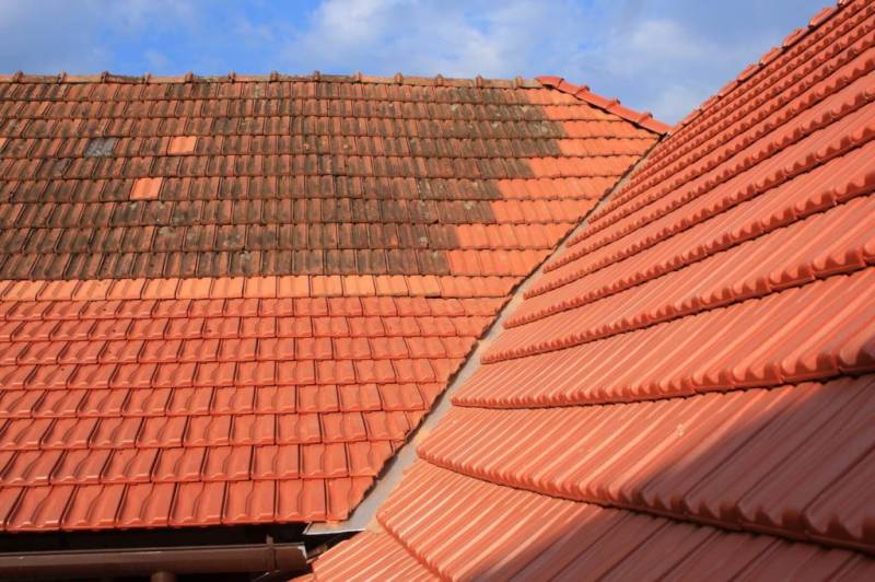 Comment enlever la mousse de votre toiture ?