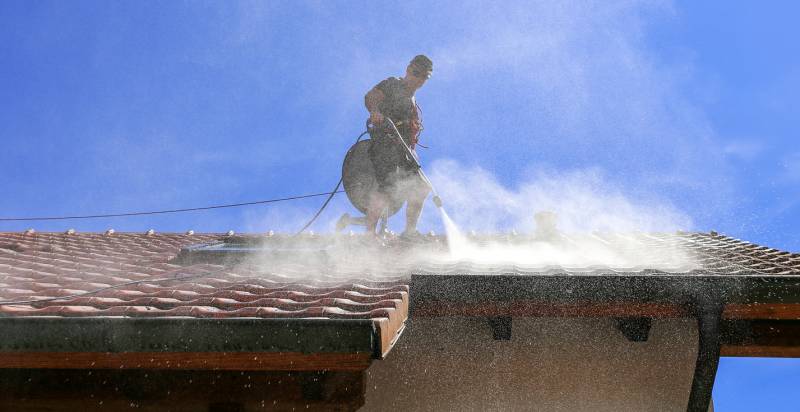 Nettoyage de Toiture dans les Monts d'Or, près de Lyon