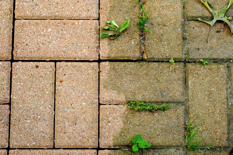 Nettoyage de terrasses et sols extérieurs à Lyon, dans les Monts d'Or