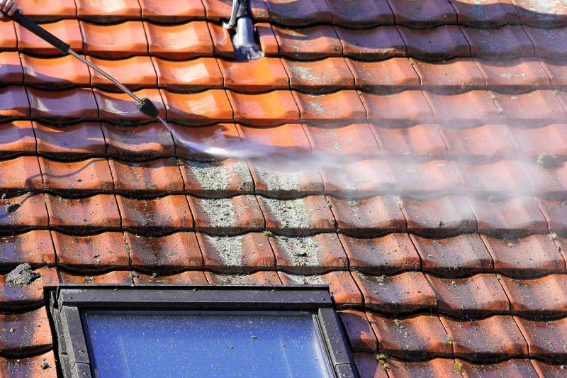 Devis démoussage de toiture à Lyon