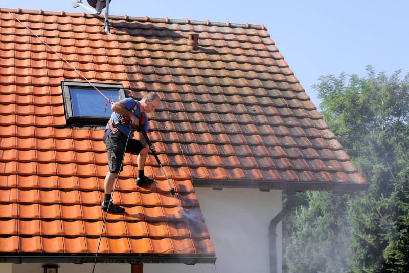 Couvreur pour démoussage de toiture à Genas